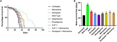 In vivo Evaluation of a Newly Synthesized Acetylcholinesterase Inhibitor in a Transgenic Drosophila Model of Alzheimer’s Disease